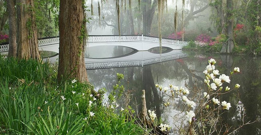 Magnolia Plantation and Gardens, United States